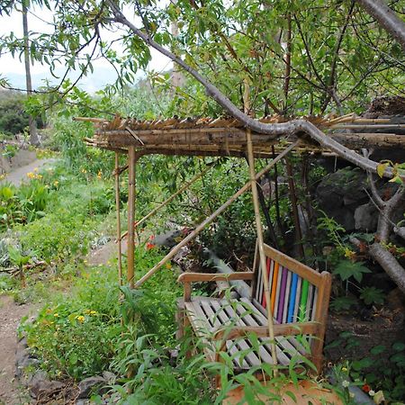 Hostal Casa Amaya バジェエルモソ エクステリア 写真
