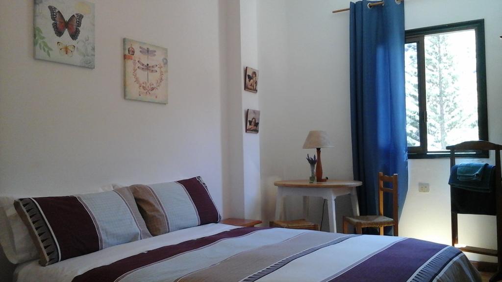 Hostal Casa Amaya バジェエルモソ エクステリア 写真