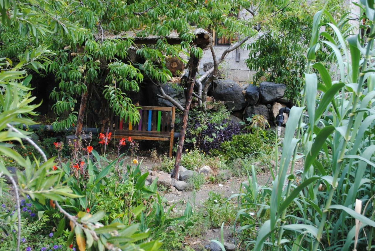 Hostal Casa Amaya バジェエルモソ エクステリア 写真
